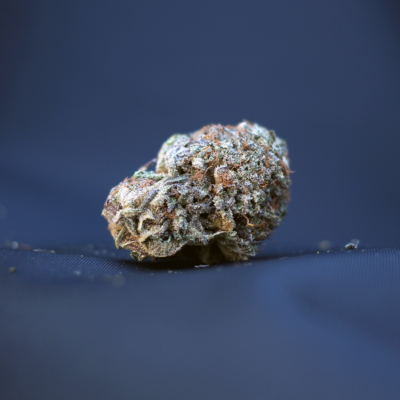 Black Dream (AAA)
