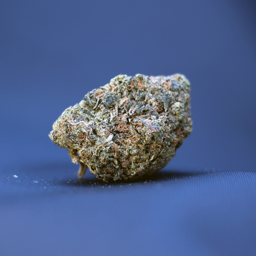 Chemo (AAA)