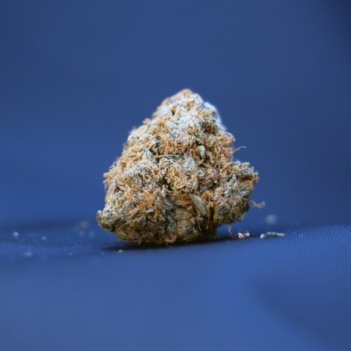 Romulan (AA)