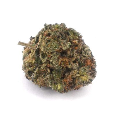 Pink Gas Mask (AAAA)