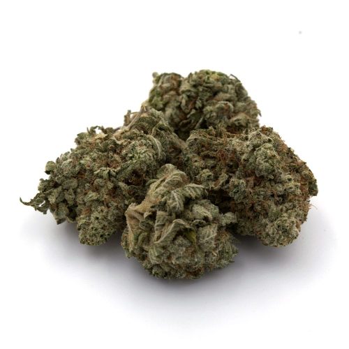 Grease Monkey (AA) - Image 2