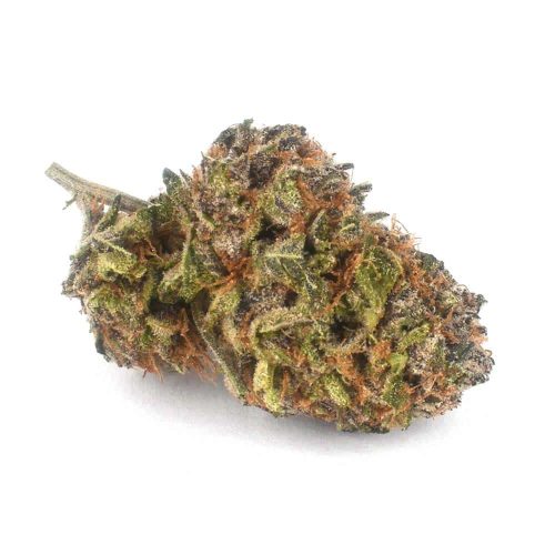 Lemon Diesel (AA)