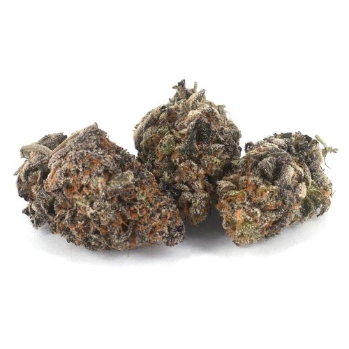 Slurricane (AAAA) - Image 2