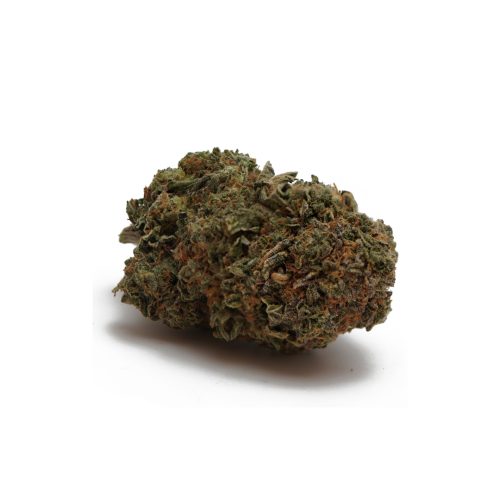 King Louie XIII (AA)