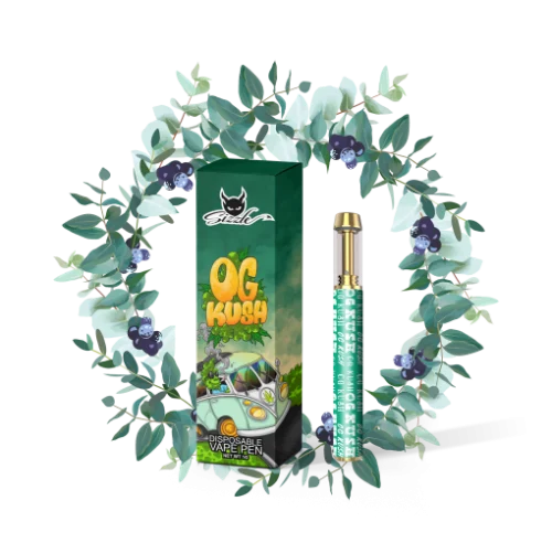 Sizzle Vapes Disposable Pen (1000mg THC) - Image 6